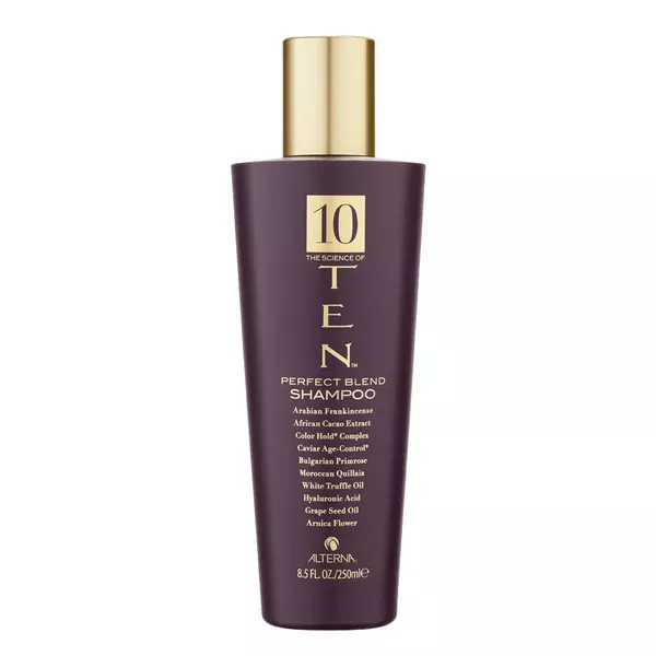 ALTERNA HAIRCARE TEN PERFECT BLEND SHAMPOO