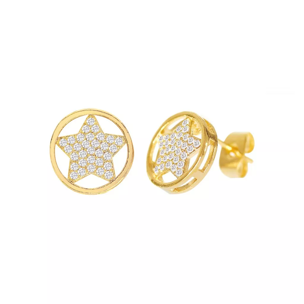 Cubic Zirconia Micro Pave Star In Circle Earring
