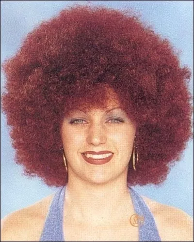 Disco Afro Costume Wig by Franco