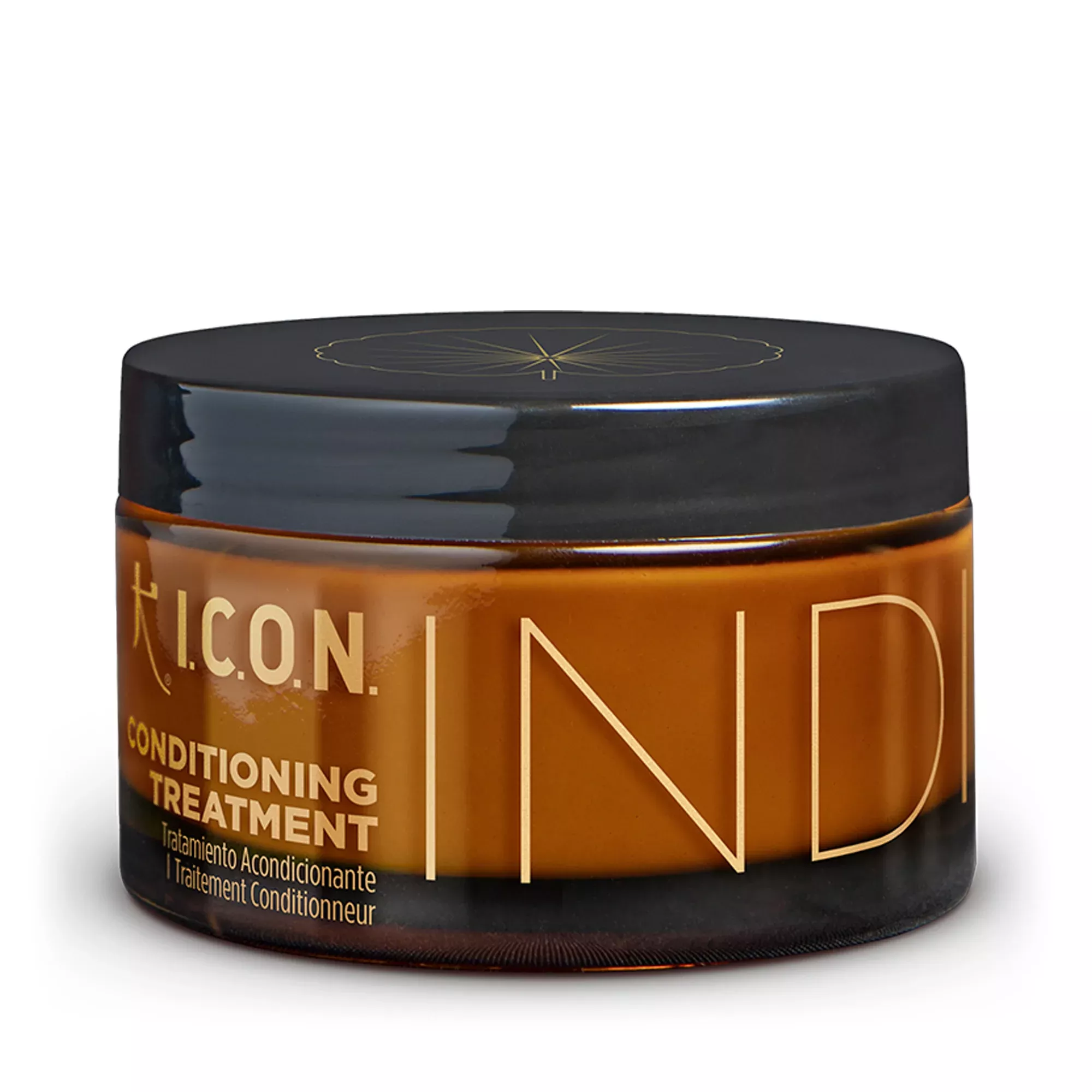 I.C.O.N. India Conditioning Treatment