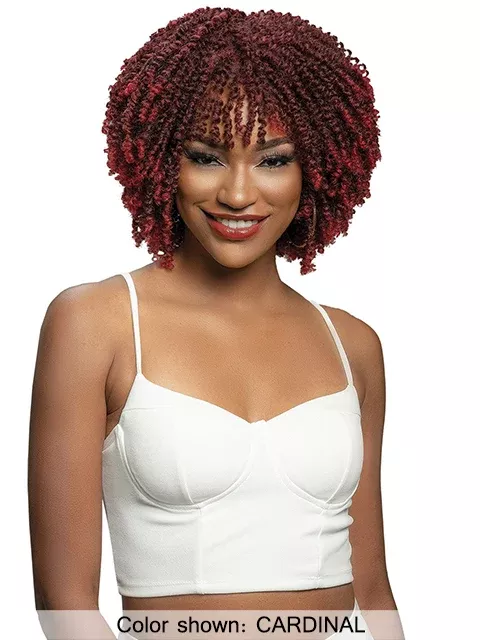 Janet Collection Natural Curly Premium Synthetic Wig – NATURAL AFRO RETA*FINAL SALE