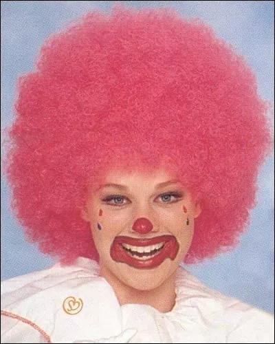 Jumbo Afro Costume Wig by Franco