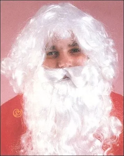Santa Wig & Beard Set Costume Wig by Franco